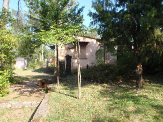 jardin_arriere_3.jpg